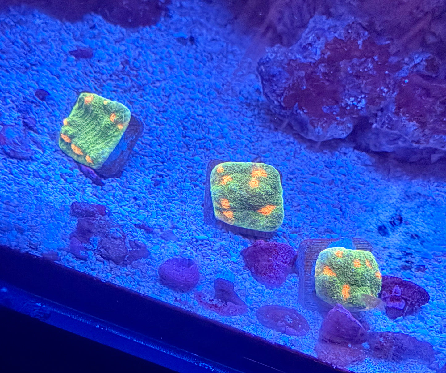 Space Invader Chalice