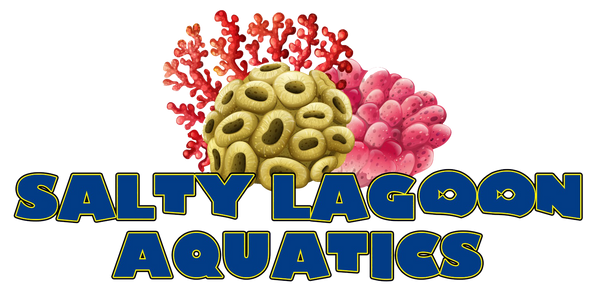 Salty Lagoon Aquatics